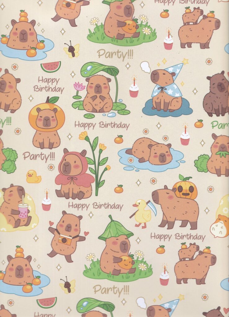 KERTAS KADO SANSAN WAWA/SANWA CAPYBARA SW6330