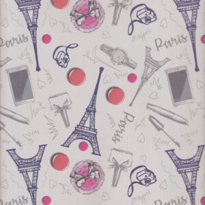 KERTAS KADO SANSAN WAWA/SANWA NEGARA PRANCIS (PARIS) SW6335